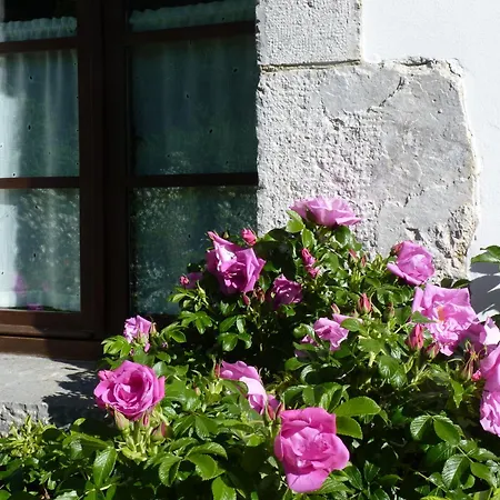 Bed and breakfast Riegos