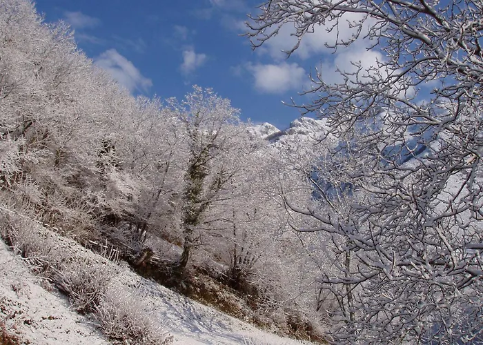 Riegos Frühstückspension Caso