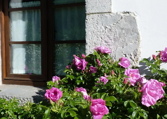 Frühstückspension Riegos